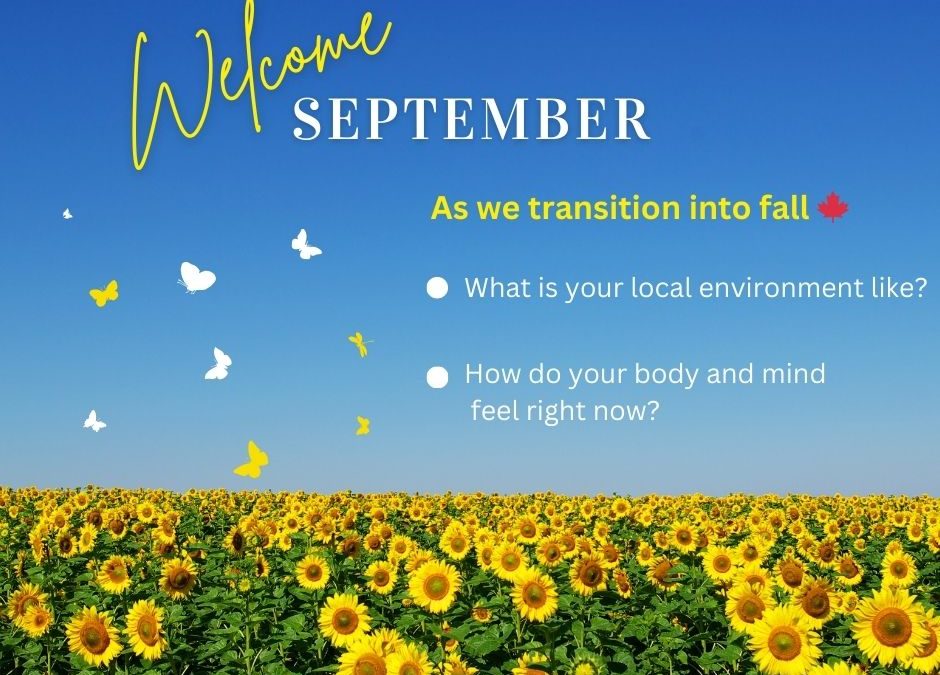 Three Tips to Ground as We Transition into Fall