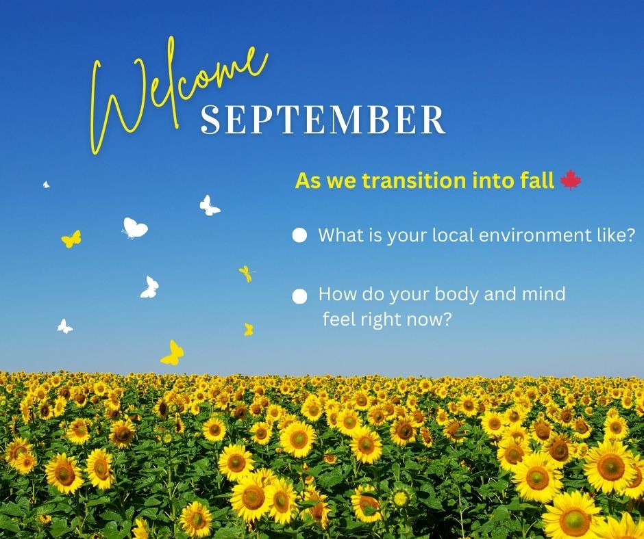 Three Tips to Ground as We Transition into Fall